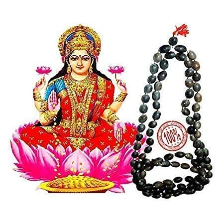 Original Kamal Gatta Seeds | Lotus Beads | Kamal Beej