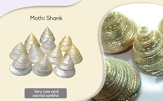 Original Mothi Shank