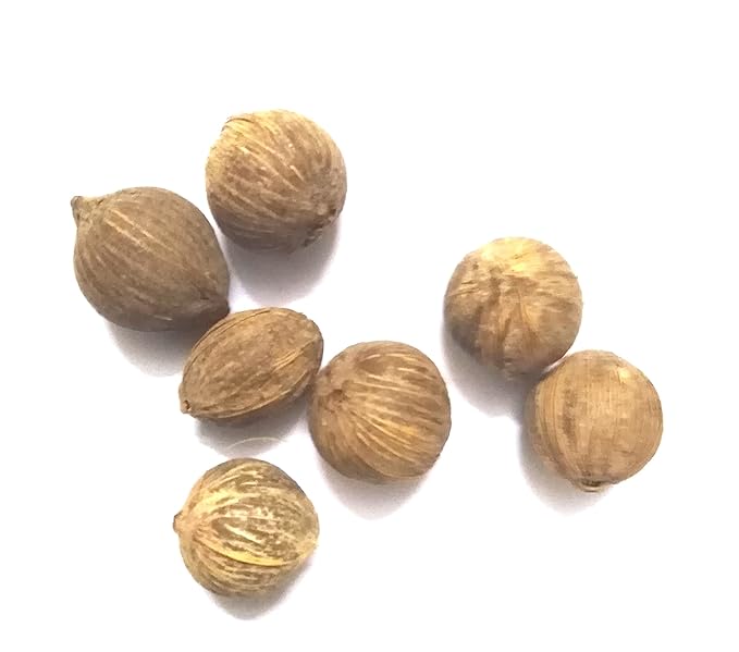 Original Laghu Shrifal/ Nariyal