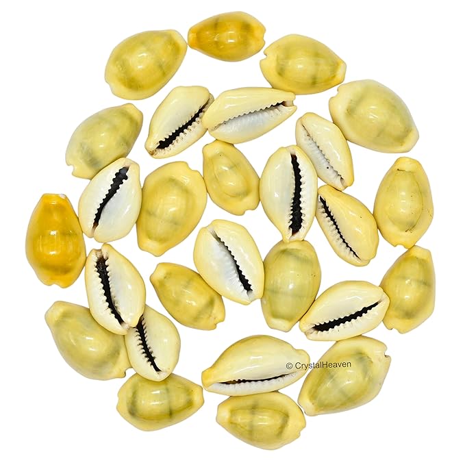 Original Pili kodi