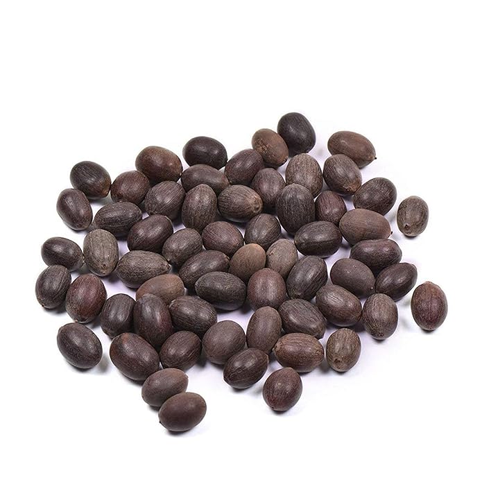 Original Kamal Gatta Seeds | Lotus Beads | Kamal Beej